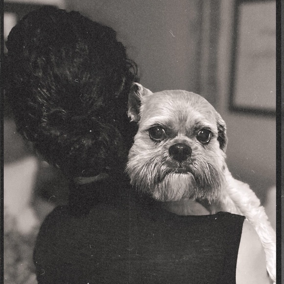 Meet your Posher, Leah - Picture 1 of 1